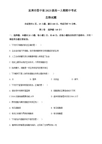 2023-2024学年四川省宜宾市第四中学高一上学期期中生物试题含答案