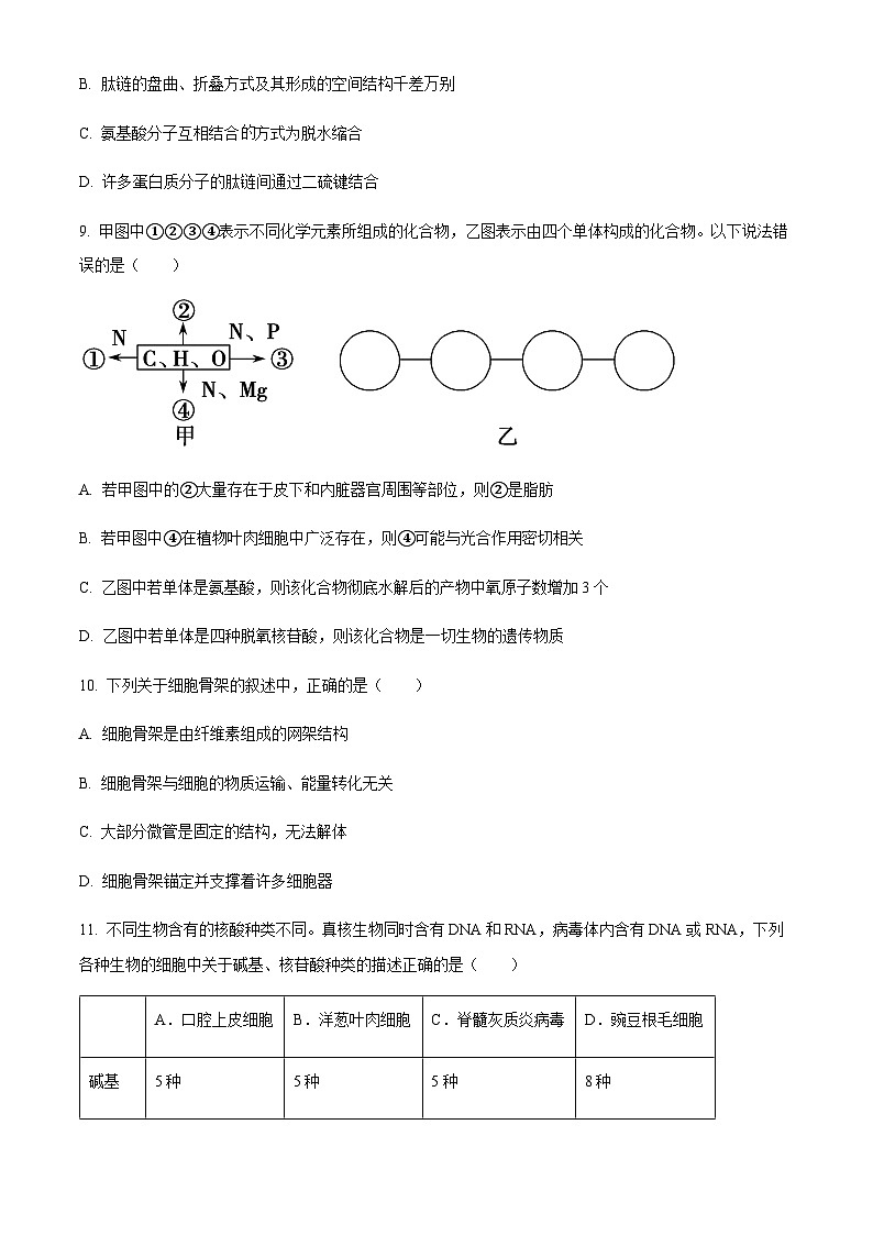 天津市红桥区2023-2024学年高一上学期期中生物试题（原卷版）第3页