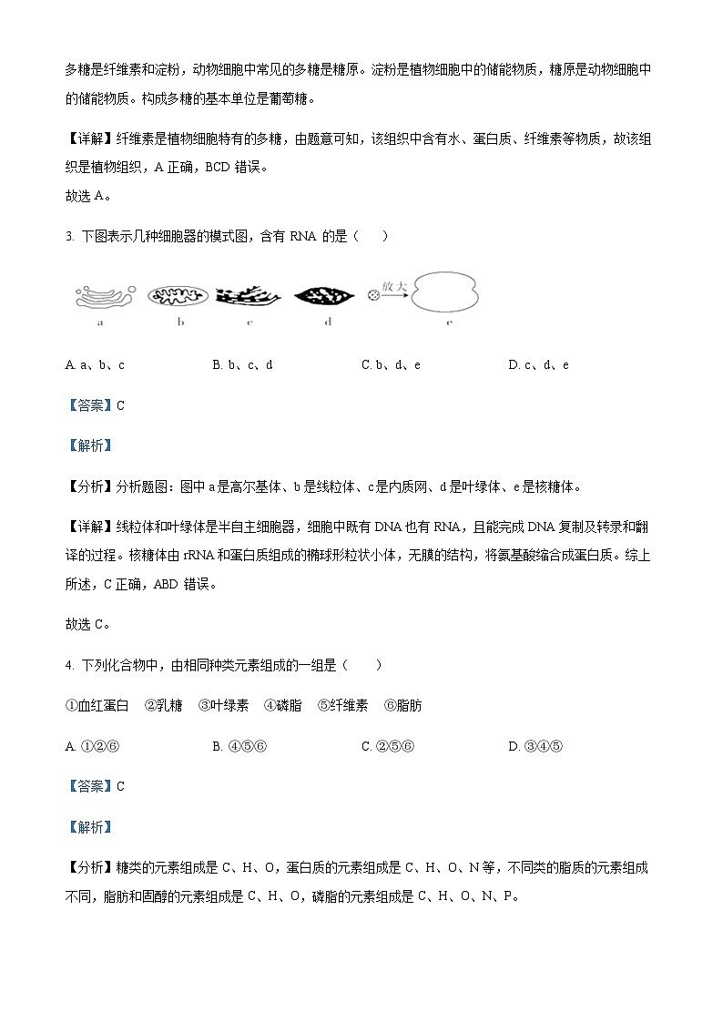 2023-2024学年浙江省杭州市学军中学高一上学期期中生物试题含答案02