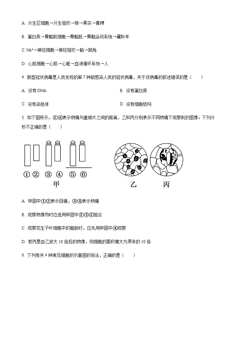 重庆市巴蜀中学2023-2024学年高一上学期期中生物试题（原卷版）第2页