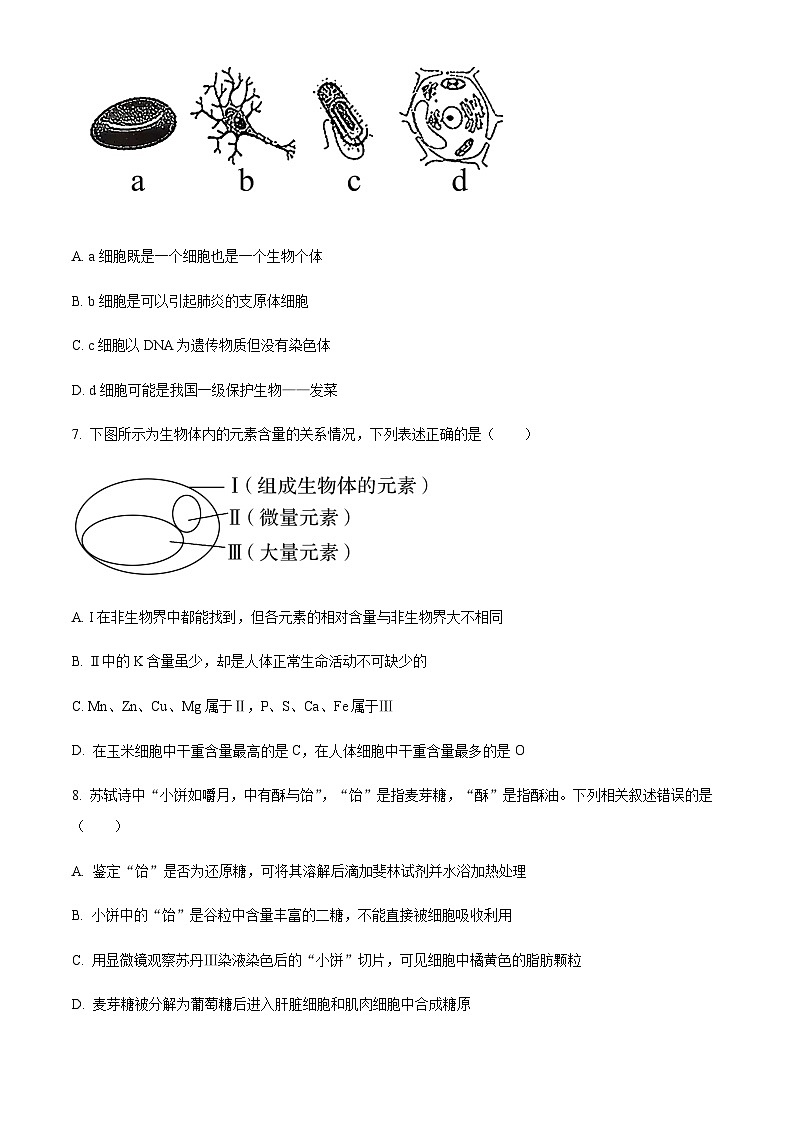 重庆市巴蜀中学2023-2024学年高一上学期期中生物试题（原卷版）第3页