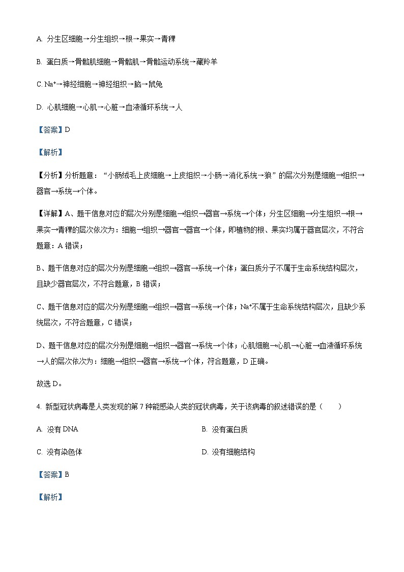 重庆市巴蜀中学2023-2024学年高一上学期期中生物试题 Word版含解析第3页