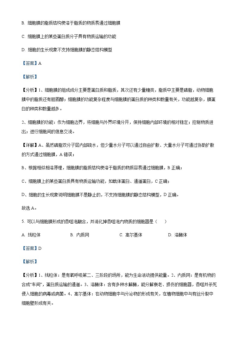 2022-2023学年北京师范大学附属实验中学高一上学期期中生物试题含答案03