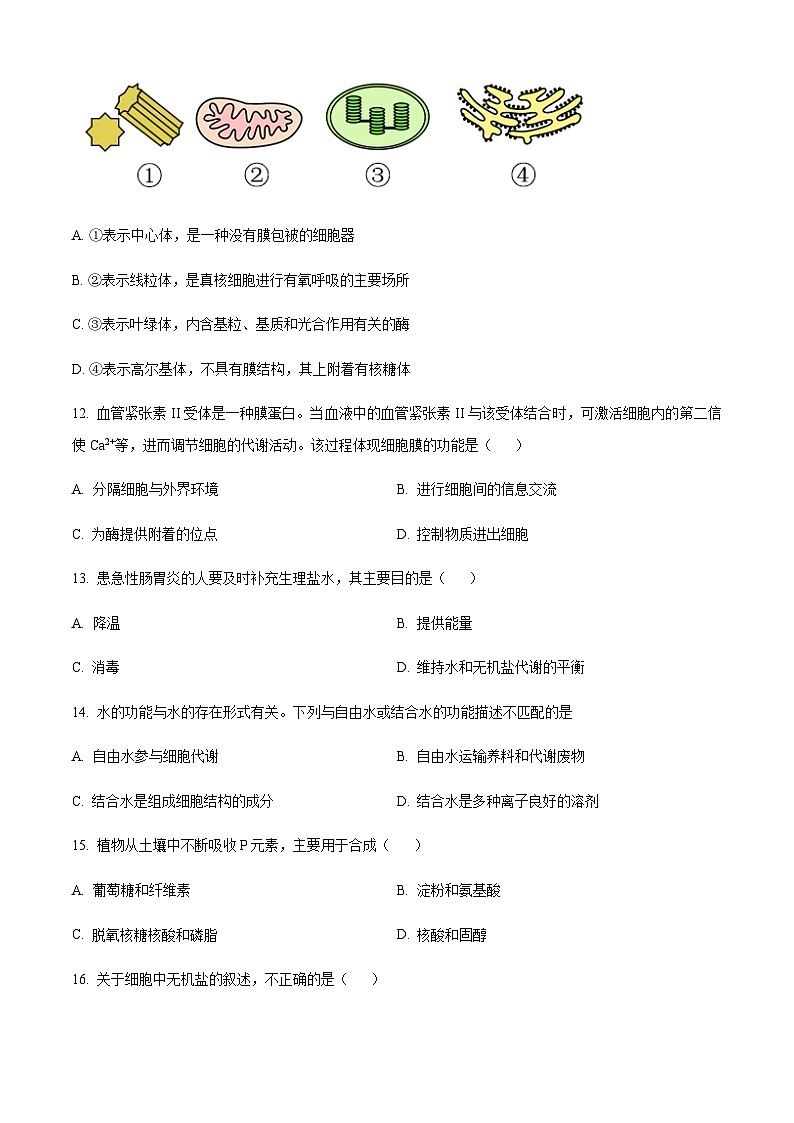 2022-2023学年北京师范大学附属实验中学高一上学期期中生物试题含答案03