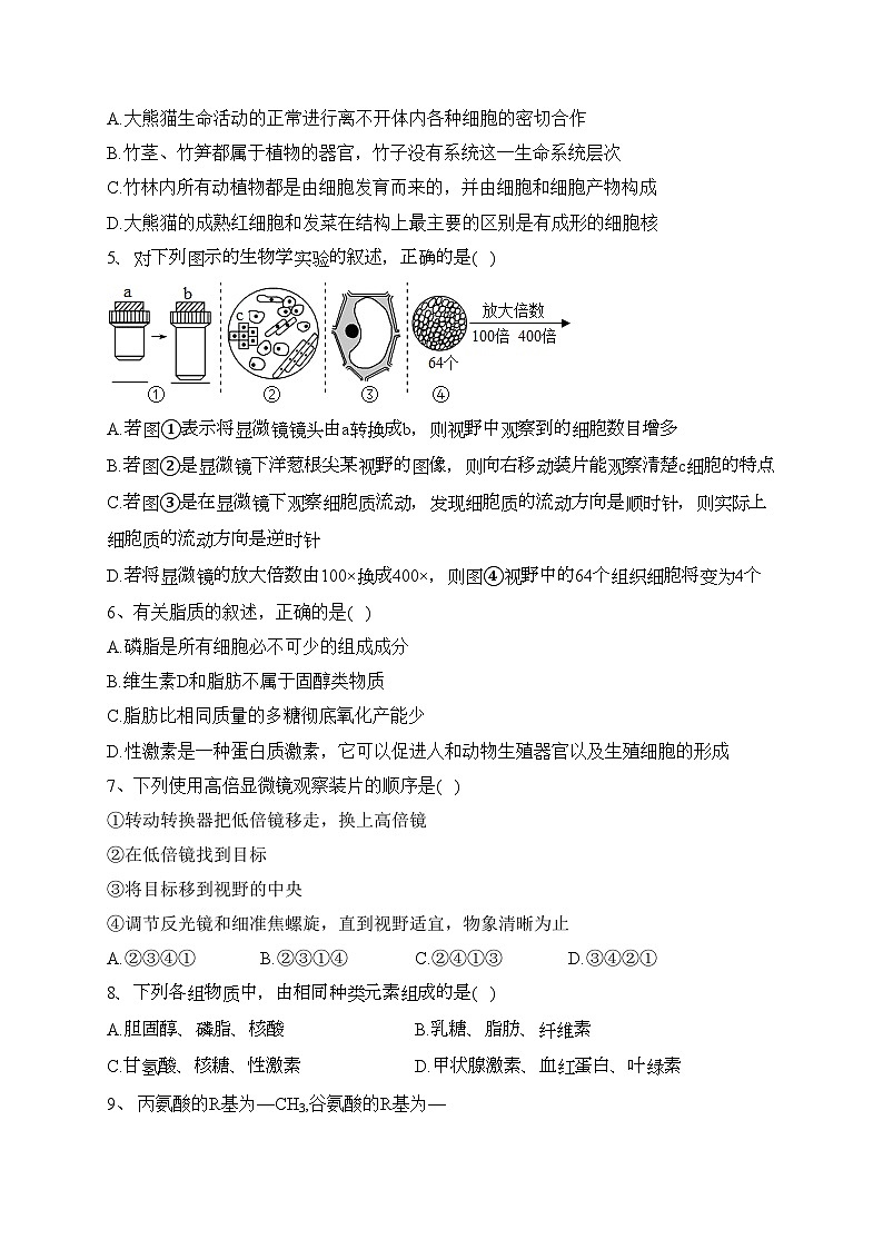 安徽省马鞍山市二中2022-2023学年高一上学期期中生物试题(含答案)02