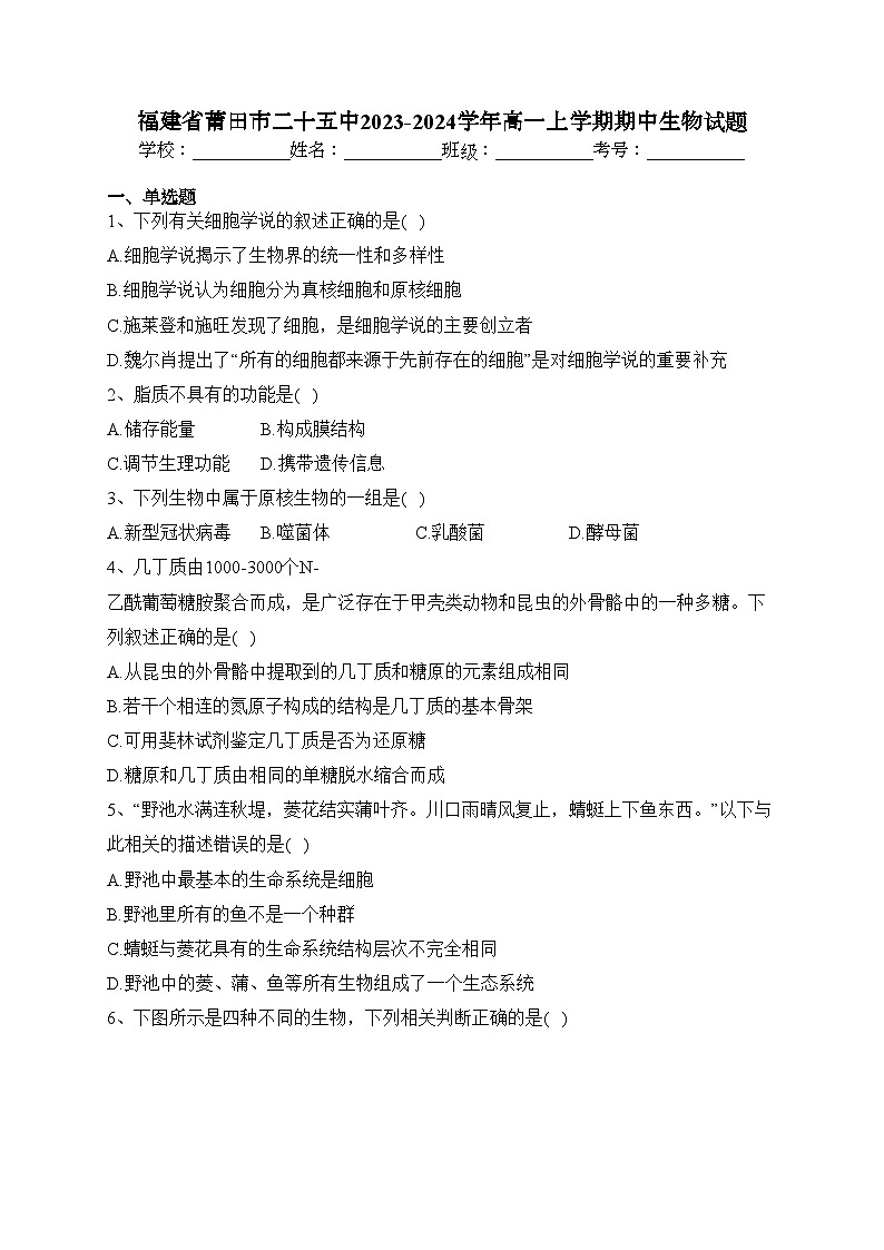 福建省莆田市二十五中2023-2024学年高一上学期期中生物试题(含答案)01