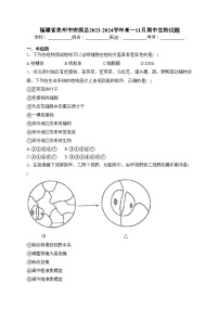 福建省泉州市安溪县2023-2024学年高一11月期中生物试题(含答案)