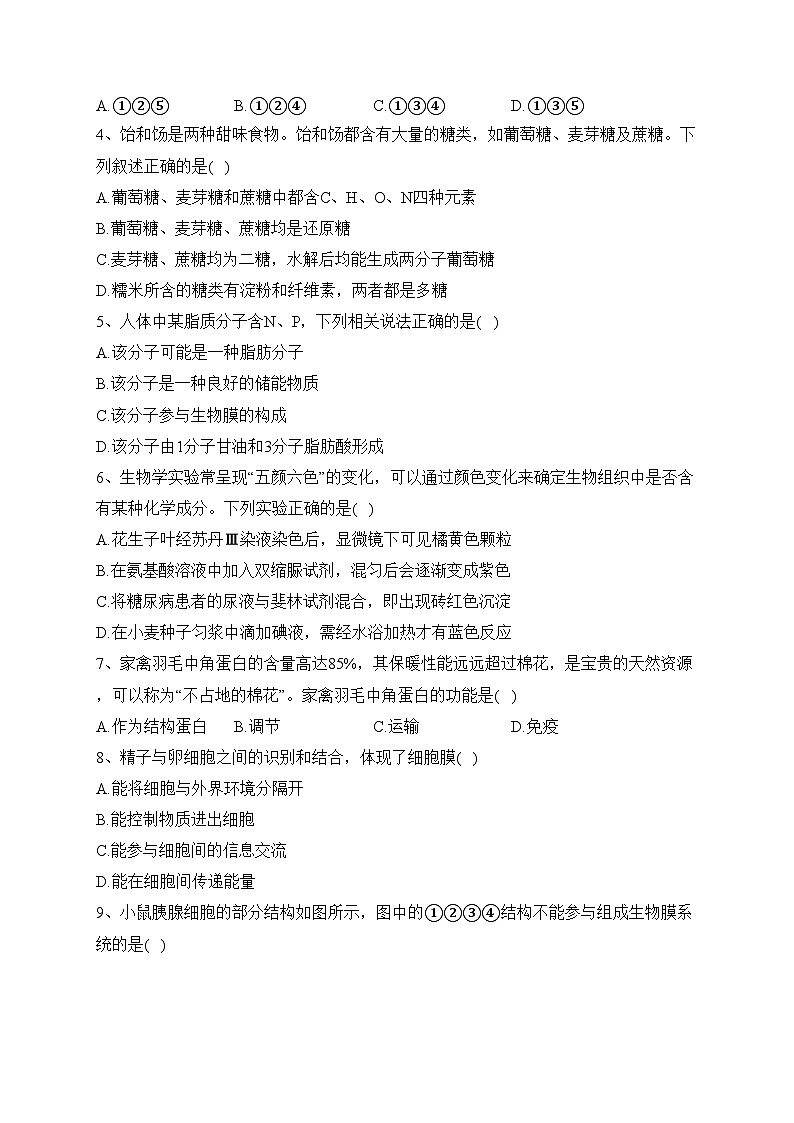 福建省泉州市安溪县2023-2024学年高一11月期中生物试题(含答案)02