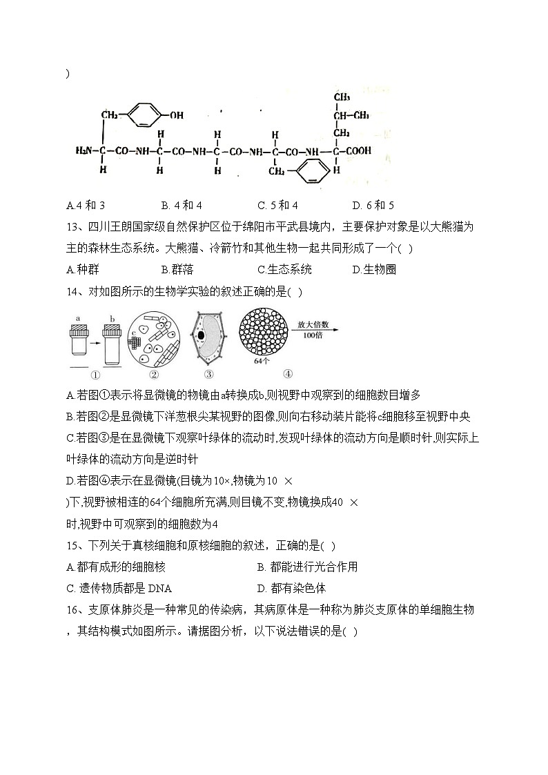 广安市育才学校2023-2024学年高一上学期期中质量检测生物试卷(含答案)03
