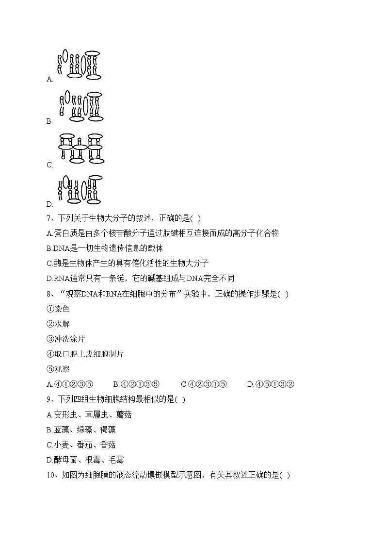 贵州省遵义市一中2022-2023学年高一上期期中生物试题(含答案)第2页