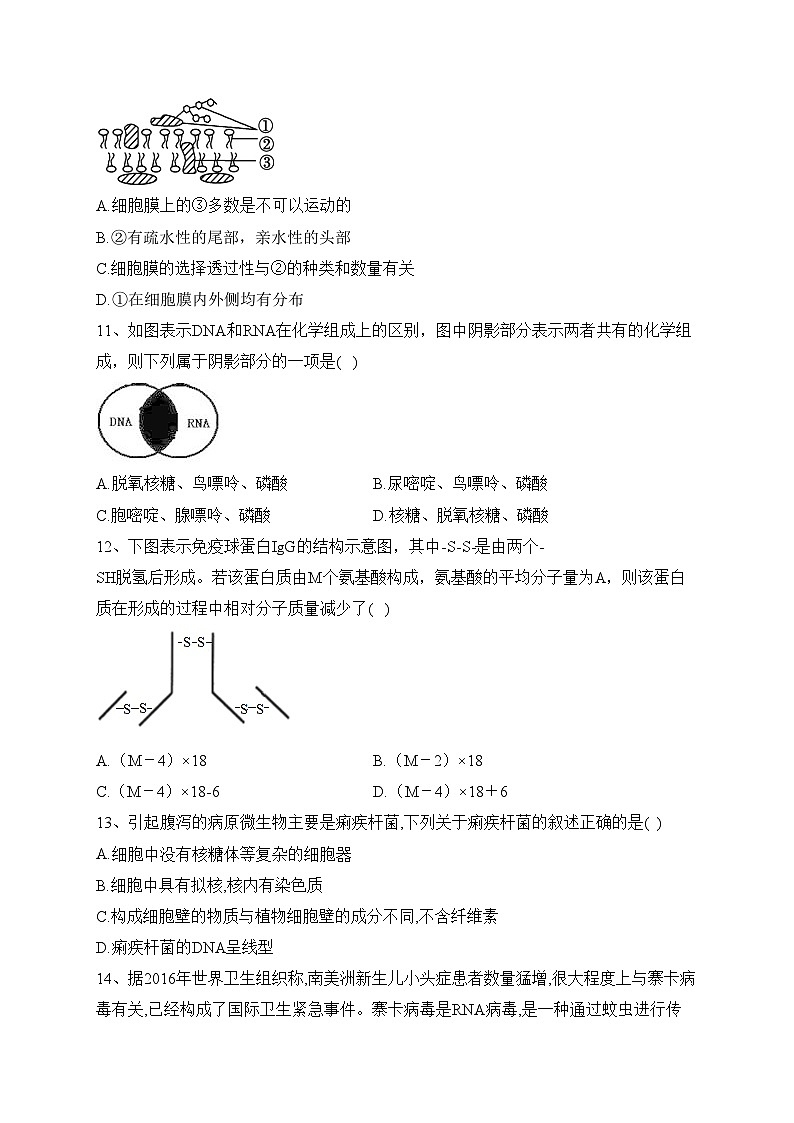 贵州省遵义市一中2022-2023学年高一上期期中生物试题(含答案)第3页