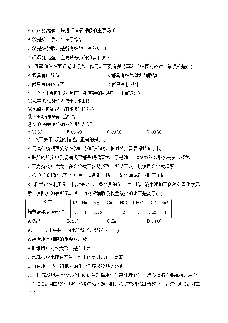 江苏省南京市大厂，溧水二高，秦中，江浦文昌四校联考2023-2024学年高一上学期期中生物试题(含答案)第2页