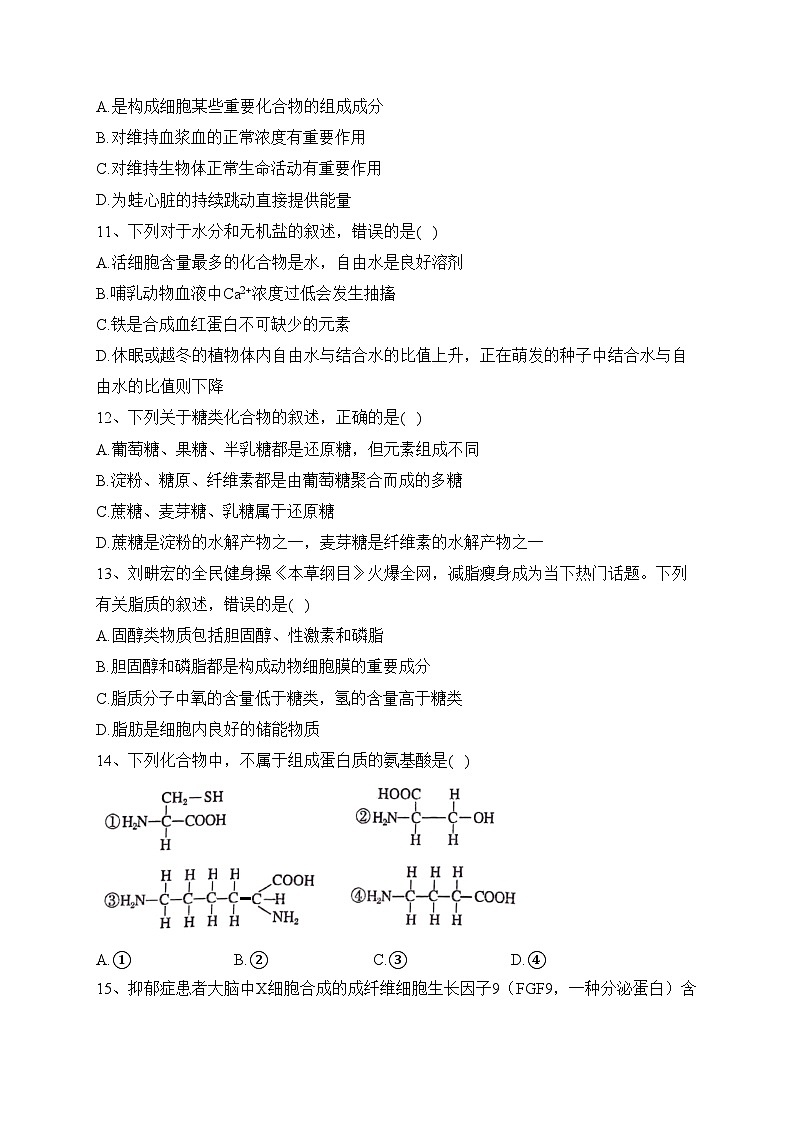 江苏省南京市大厂，溧水二高，秦中，江浦文昌四校联考2023-2024学年高一上学期期中生物试题(含答案)第3页