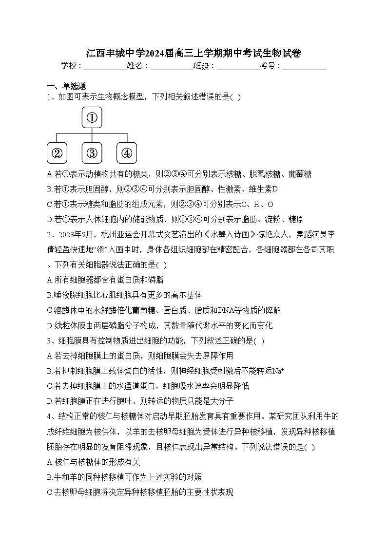 江西丰城中学2024届高三上学期期中考试生物试卷(含答案)01
