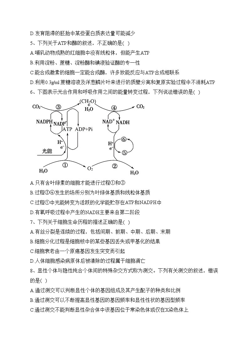江西丰城中学2024届高三上学期期中考试生物试卷(含答案)02