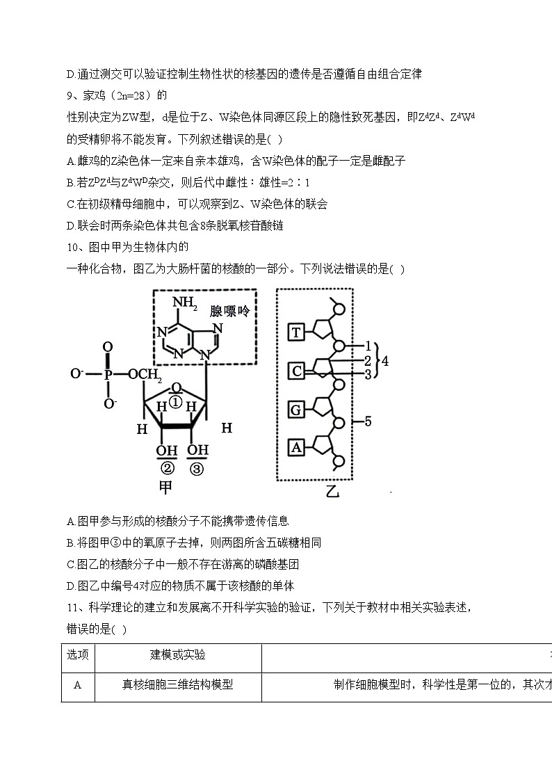 江西丰城中学2024届高三上学期期中考试生物试卷(含答案)03