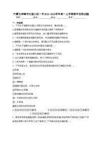 内蒙古赤峰市元宝山区一中2023-2024学年高一上学期期中生物试题(含答案)