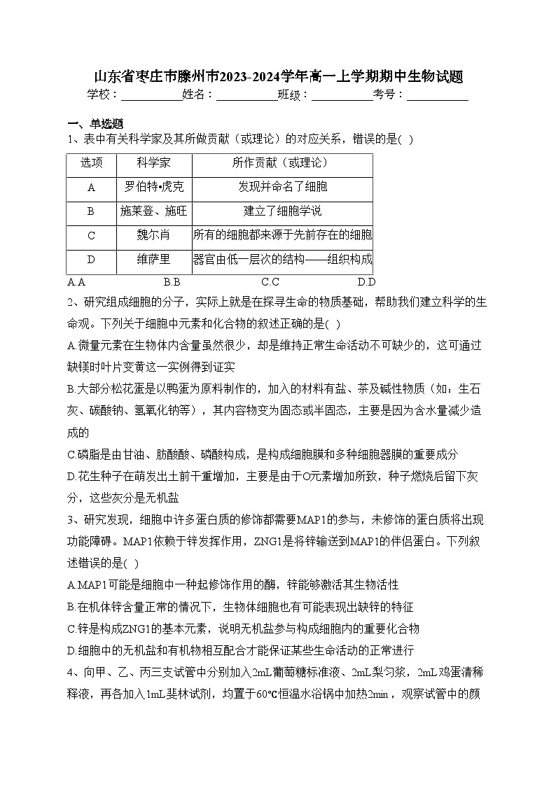 山东省枣庄市滕州市2023-2024学年高一上学期期中生物试题(含答案)01