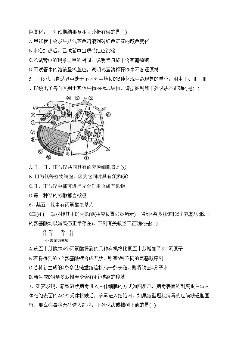 山东省枣庄市滕州市2023-2024学年高一上学期期中生物试题(含答案)02