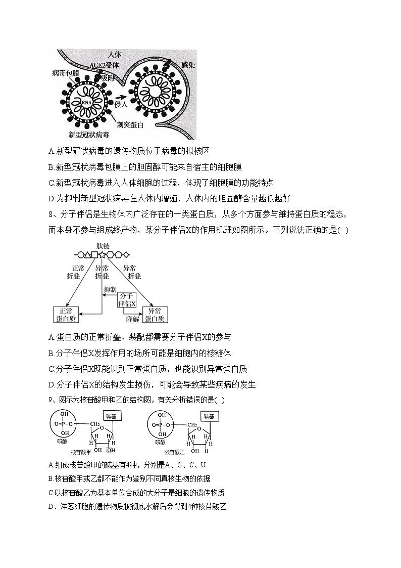 山东省枣庄市滕州市2023-2024学年高一上学期期中生物试题(含答案)03