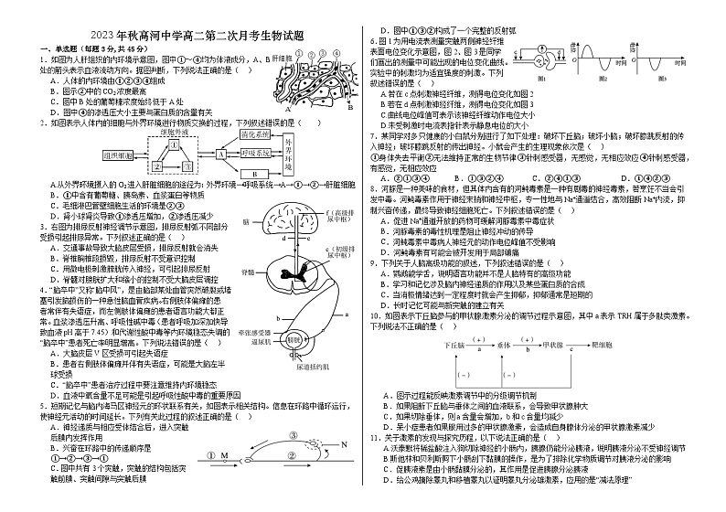 安徽省怀宁县高河中学2023-2024学年高二上学期第二次月考生物试题第1页