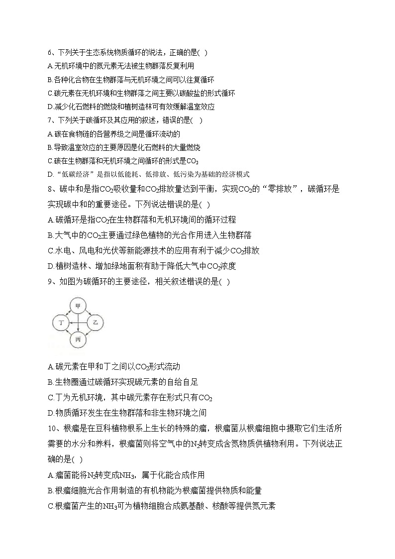 3.4生态系统中的物质能被循环利用——2023-2024学年高二生物学浙科版（2019）选择性必修二课时分层练(含答案)02