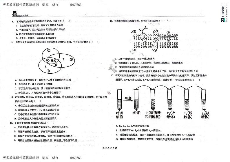 黑龙江省大庆实验中学2023-2024学年高一上学期期中考试生物试题02