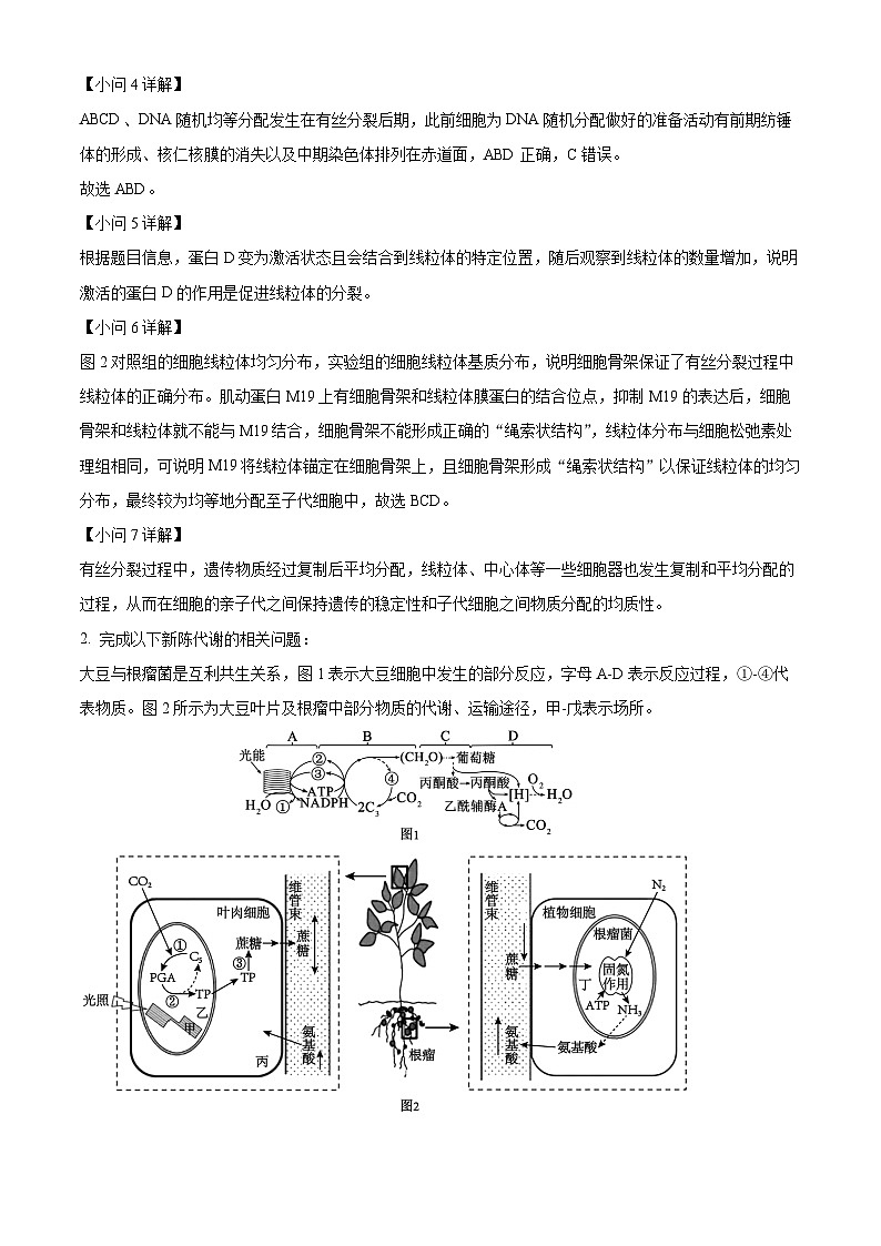 上海市川沙中学2023-2024学年高二上学期期中生物试题（解析版）03