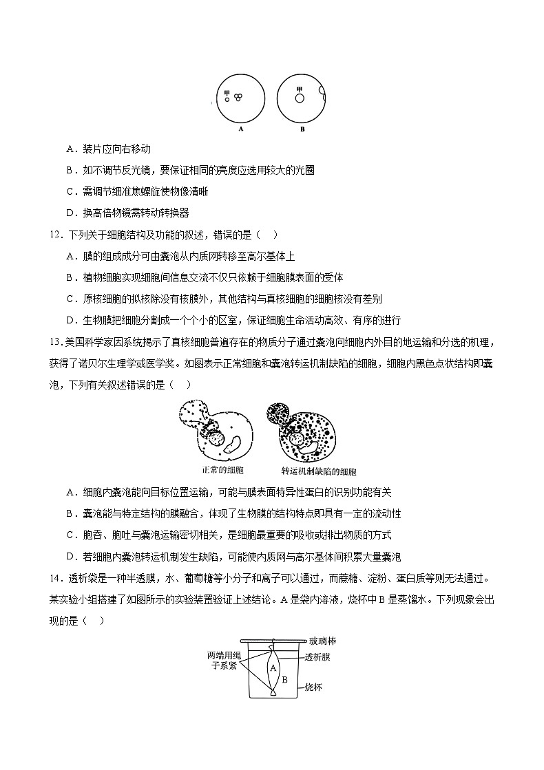 重庆市乌江新高考协作体2023-2024学年高一上学期11月期中生物试题第3页
