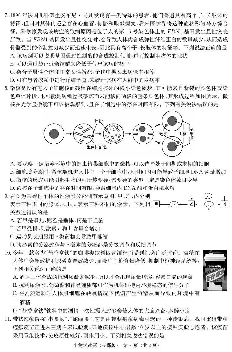 2024长沙长郡中学高三上学期月考（四）生物PDF版含解析03