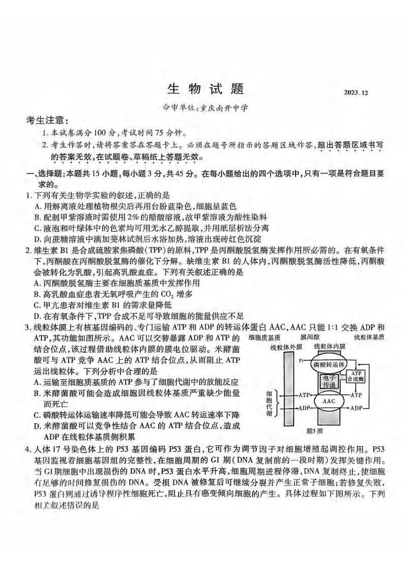2024重庆市南开中学高三上学期12月第四次质量检测试题生物PDF版含答案01