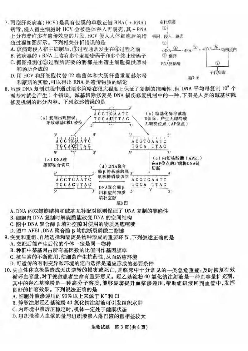 2024重庆市南开中学高三上学期12月第四次质量检测试题生物PDF版含答案03