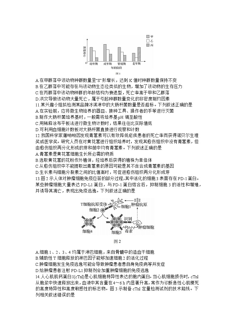 2024广东省高三上学期11月统一调研测试生物含解析03