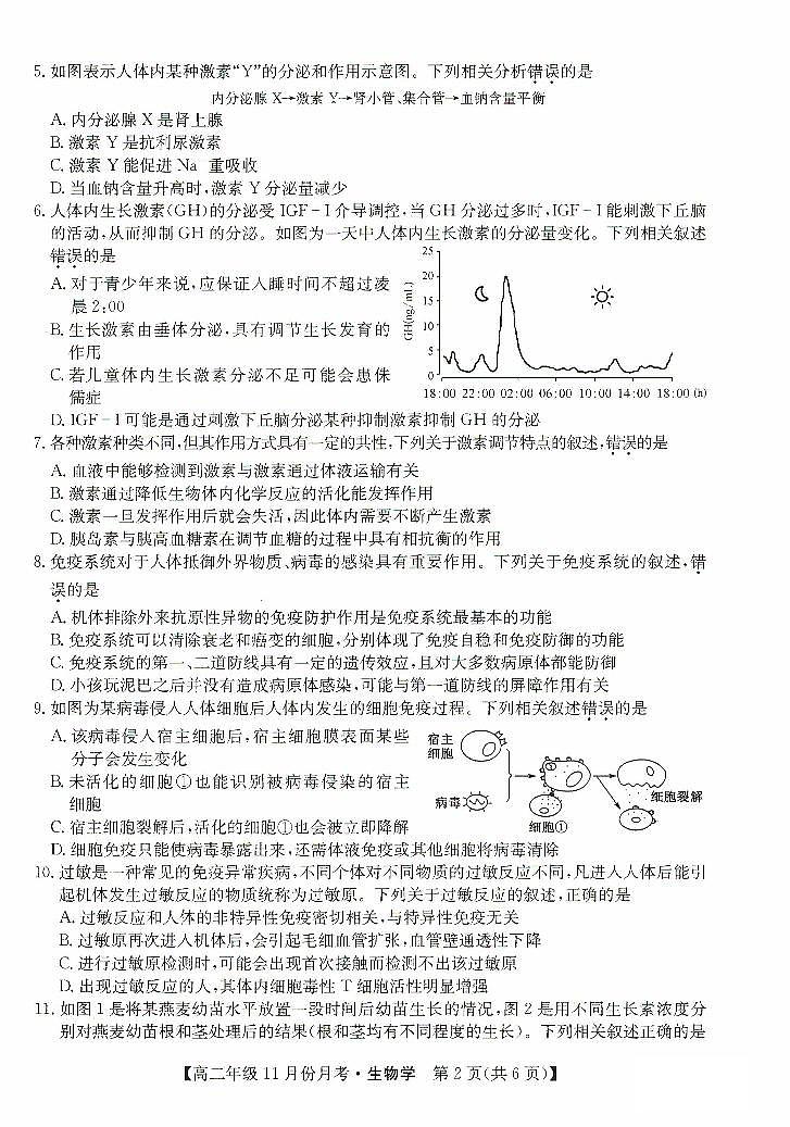 河北省沧州市2023-2024学年高二生物上学期11月期中考试试题（PDF版附答案）02