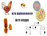 人教版高中生物必修二2.3 伴性遗传 课件+同步分层练习（含答案解析）