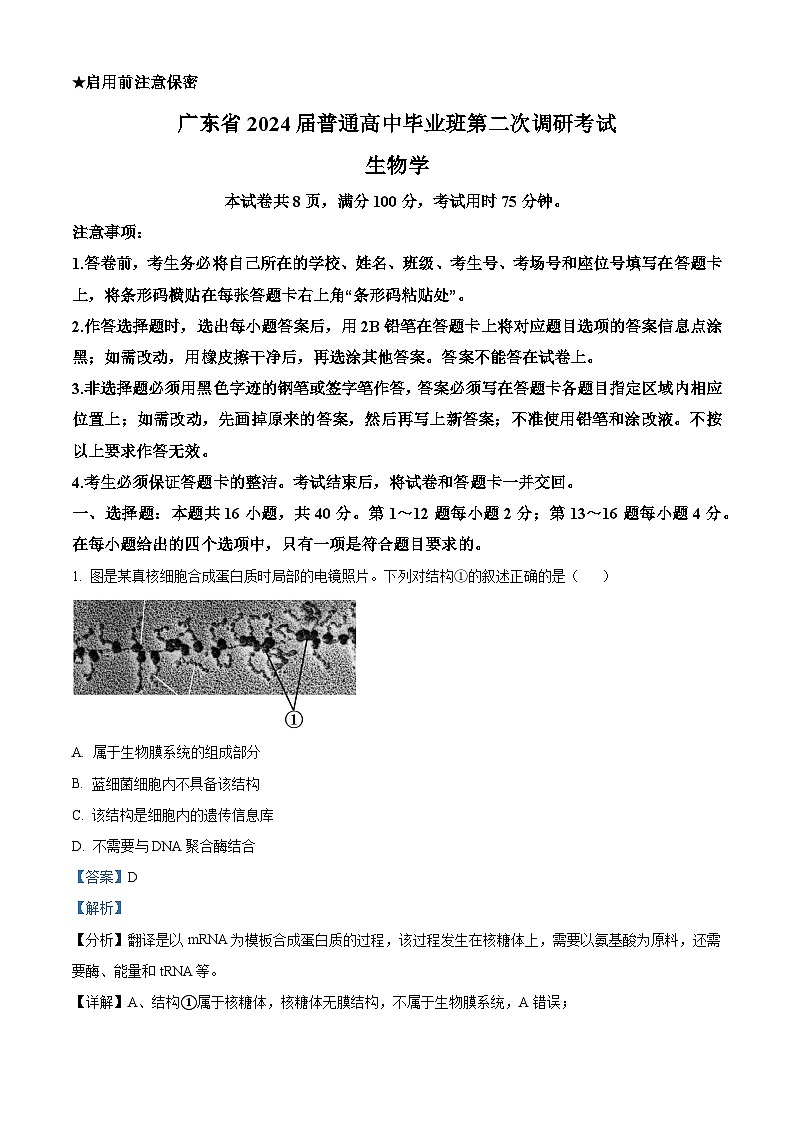 广东省2023-2024学年高三上学期第二次调研考试生物试题（解析版）01