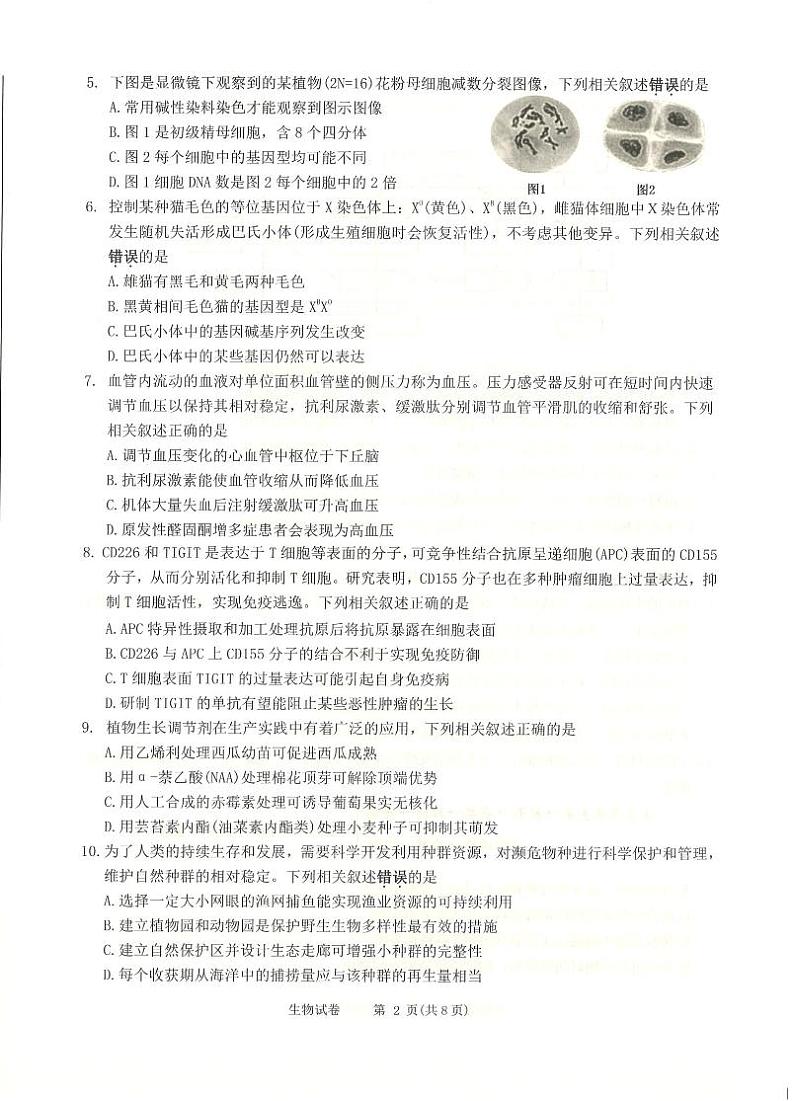 江苏省南通市海门市2023-2024学年高三上学期第二次调研考试生物试题第2页