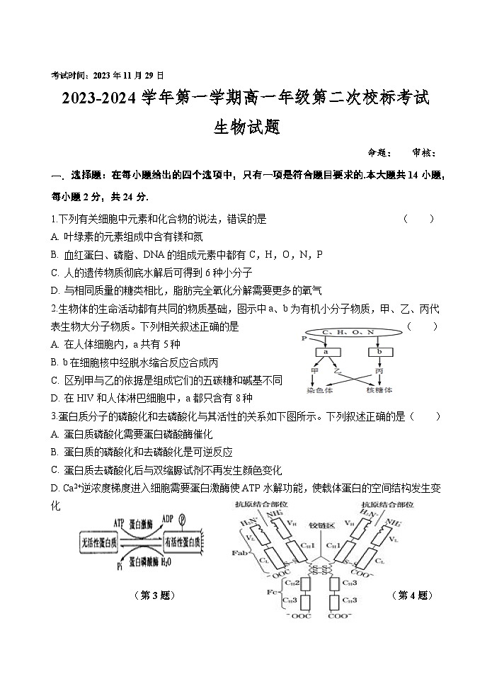 江苏省盐城第一中学2023-2024学年高一上学期第二次校标考试（期中）生物试卷01