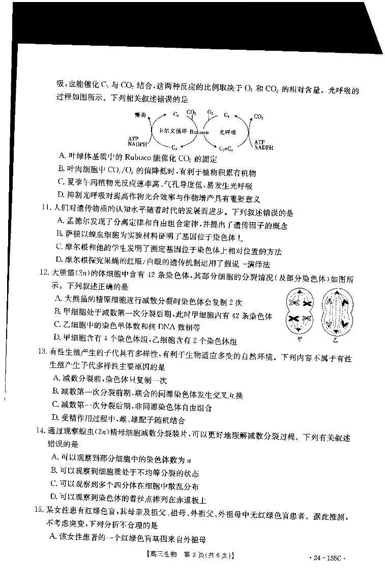 内蒙古自治区赤峰市红山区赤峰第四中学2023-2024学年高三上学期11月期中生物试题03