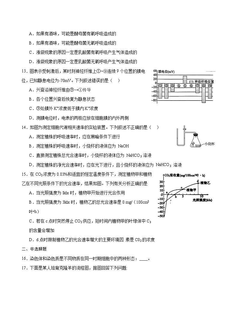 2024重庆市乌江新高考协作体高三上学期期中考试生物含答案03