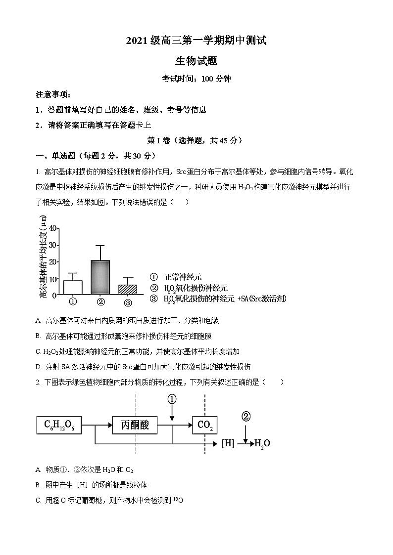 2024聊城颐中外国语学校高三上学期期中考试生物含解析01