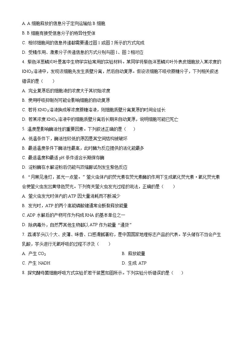 2024内蒙古部分名校高三上学期期中联考试题生物含解析02