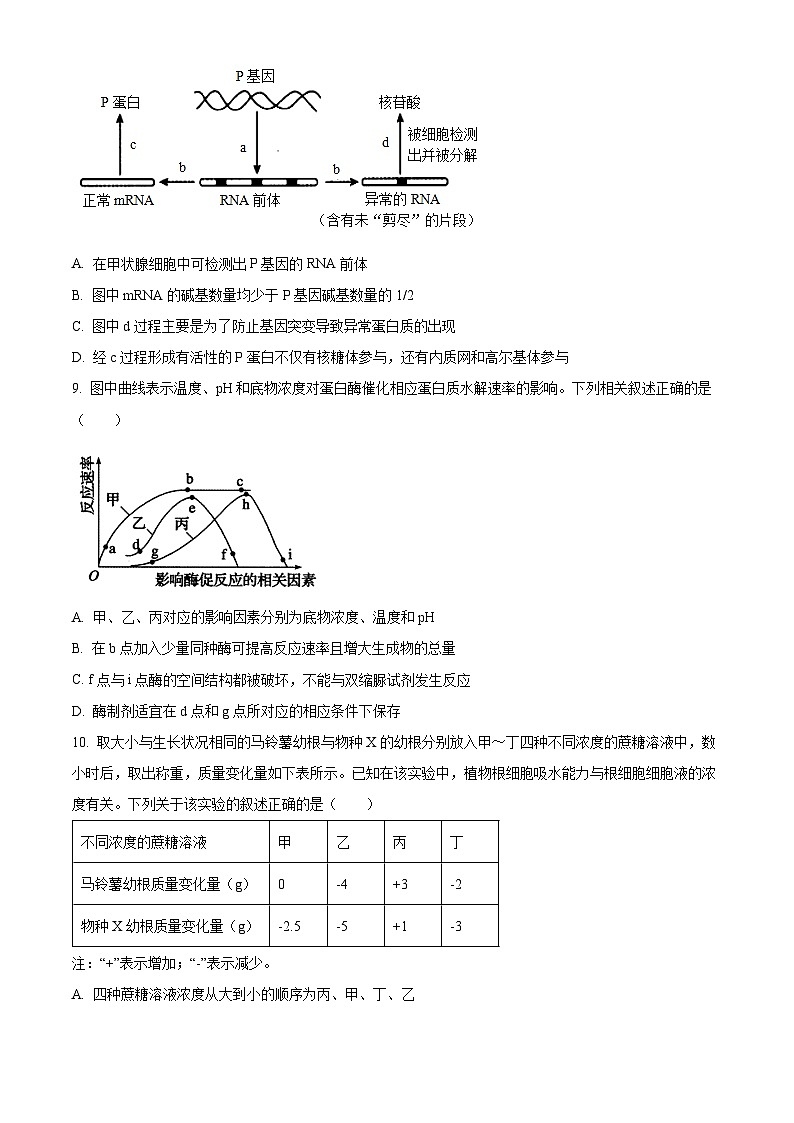 2024辽宁省实验中学高三上学期期中考试生物含解析第3页