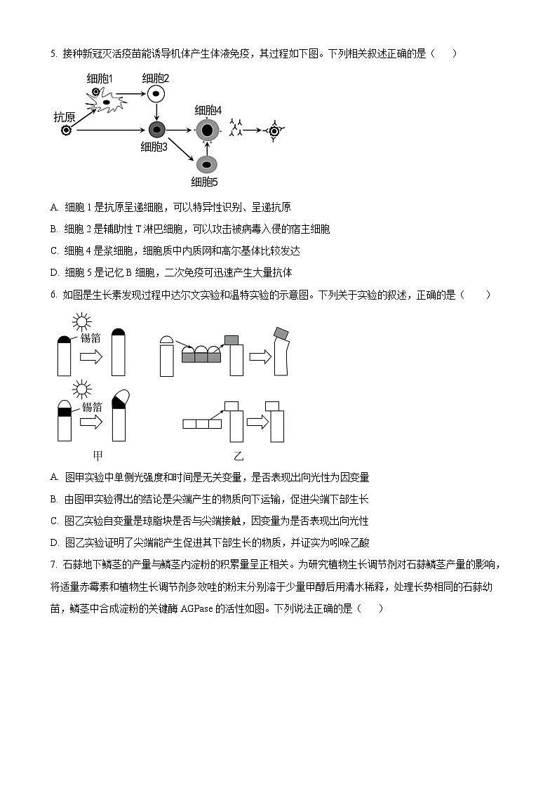 2024泰州靖江高级中学高二上学期期中考试生物含解析第2页