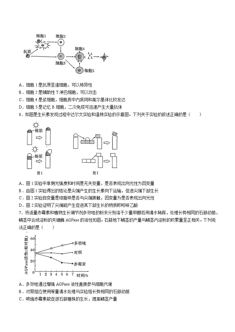 2024泰州靖江高级中学高二上学期期中生物试题无答案02