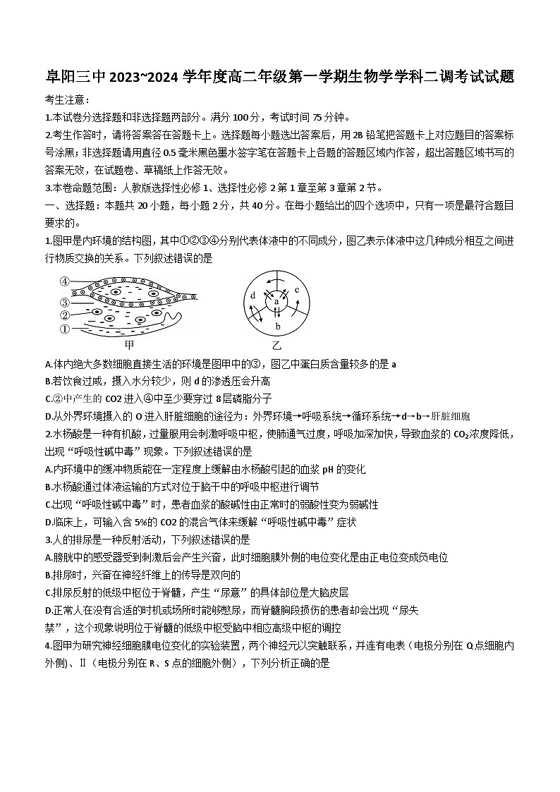 2024阜阳三中高二上学期12月二调（期中）生物试题含解析01