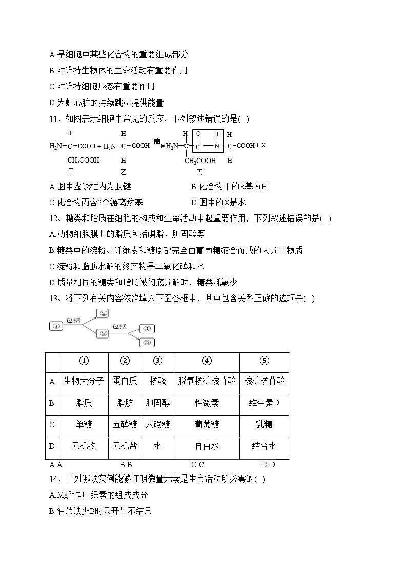 宁夏银川市贺兰一中2022-2023学年高一上学期期中考试生物试题(含答案)03