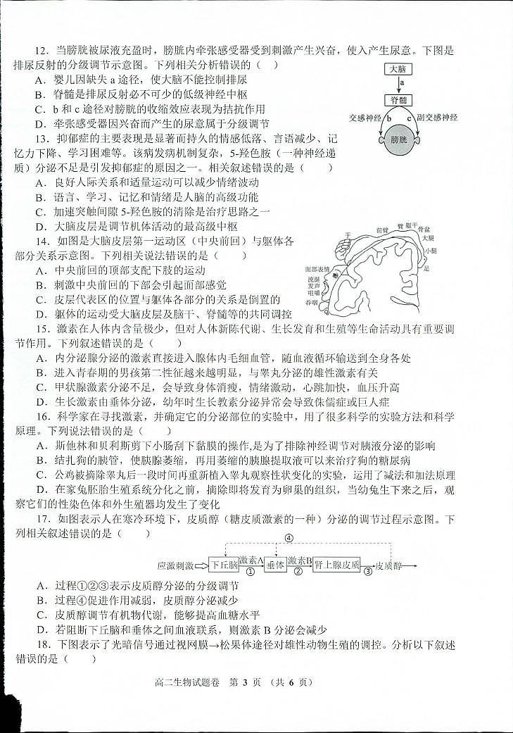 河南省郑州市第二高级中学等校2023-2024学年高二上学期期中联考生物试题02