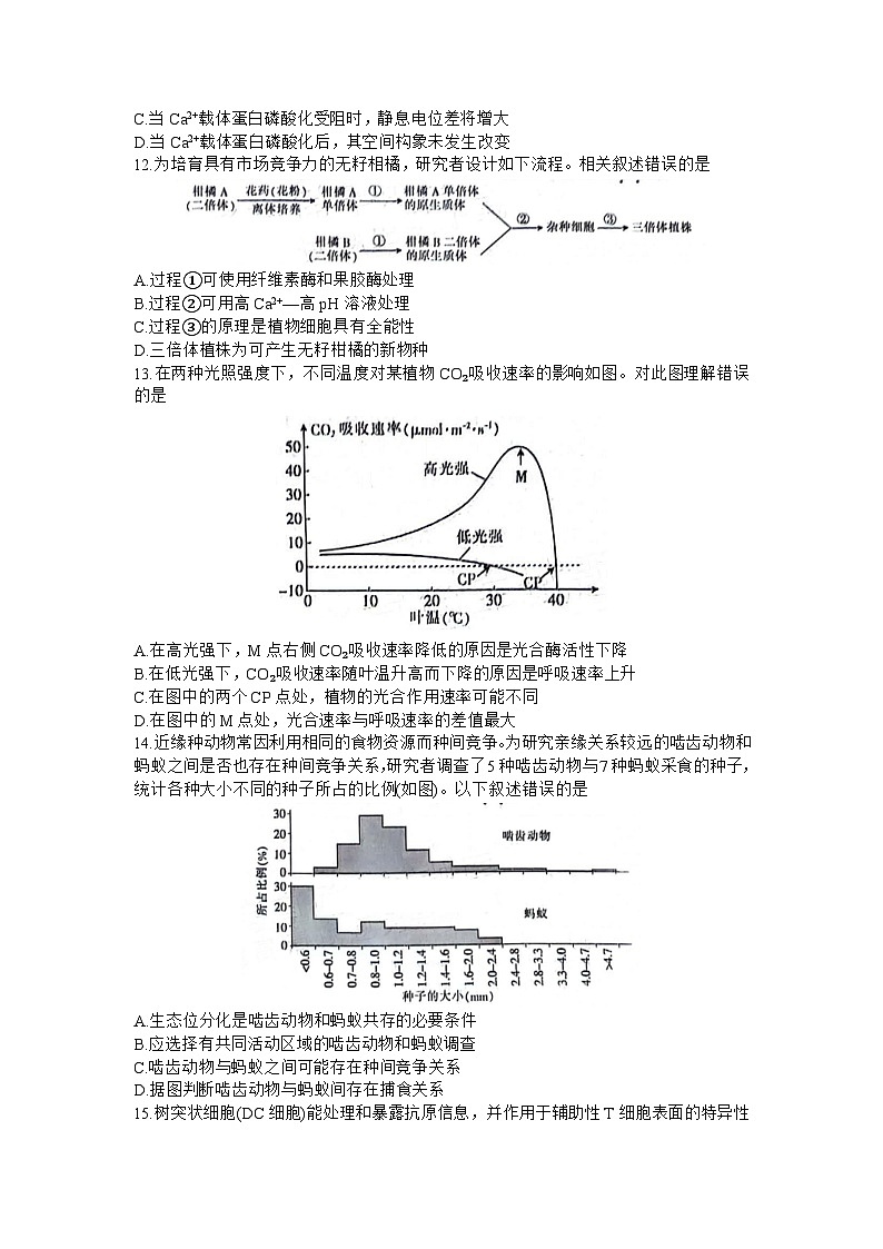 广东省部分学校2023-2024学年高三上学期11月联考生物试题（Word版附答案）03