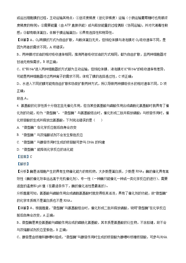 湖南省岳阳县第一中学、汨罗市第一中学2023-2024学年高三上学期11月期中联考生物试题（Word版附解析）03